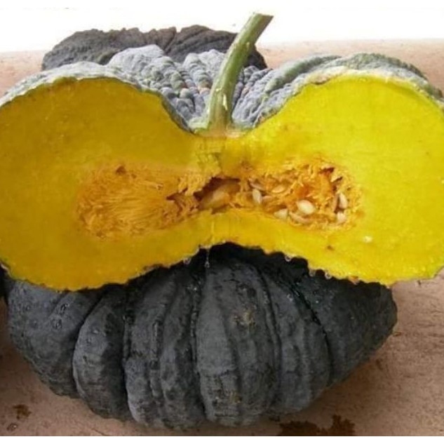 HẠT BÍ ĐỎ DA CÓC F1 - GÓI 2 GRAM