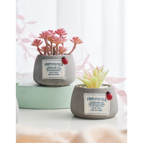 Sen đá giả-chậu sen đá giả để bàn bao gồm cả sen và chậu siêu xinh nhiều mẫu- trưng bày hoặc quà tặng