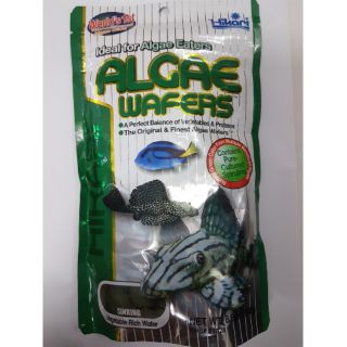 Thức ăn cho cá chuột cá lau kiếng các loại ăn cỏ Hikari