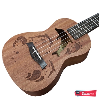 Đàn Ukulele Concert Dolphin