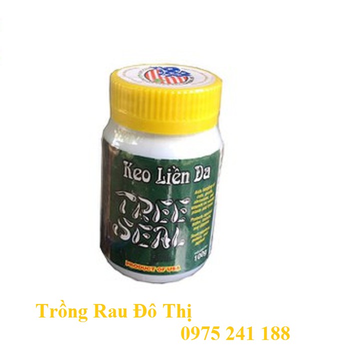 Keo đen liền da cây của Mỹ