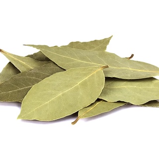 Bay Leaf - Lá Nguyệt Quế 100g