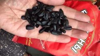 Hạt hướng dương Nga