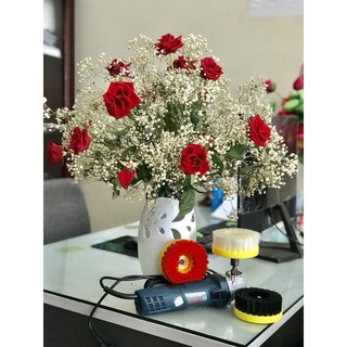 bàn chải giặt ghế sofa, nệm