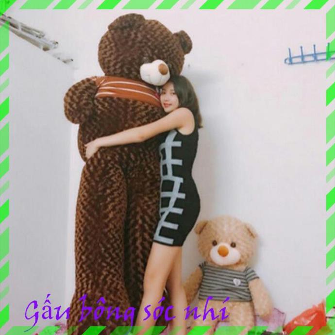 [Mua 1 Tặng 1] Gấu Bông Teddy Siêu To Khổng Lồ Size 2m 💥 FREESHIP 💥 Gấu Bông Sóc Nhí - Tặng 1 Gấu Bông Trà Sữa