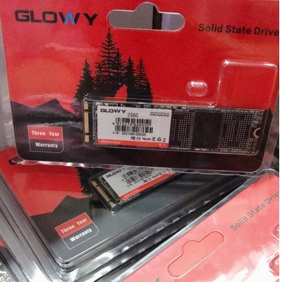 Ổ cứng SSD M2 SATA Gloway 256GB – CHÍNH HÃNG – Bảo hành 3 năm !!!