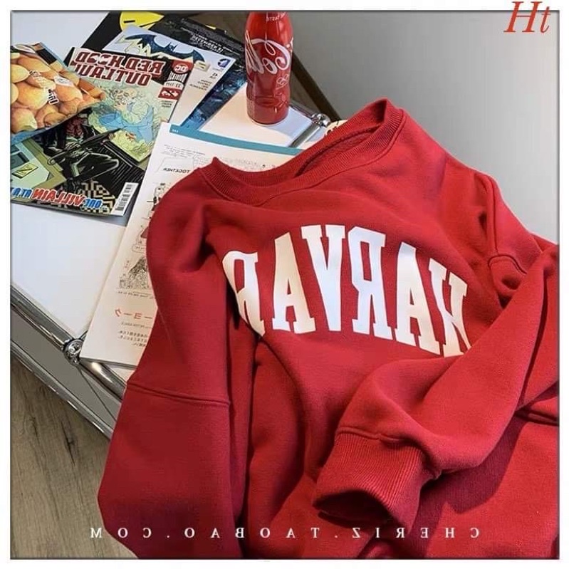 Áo swearter nỉ cotton HARA H2A499