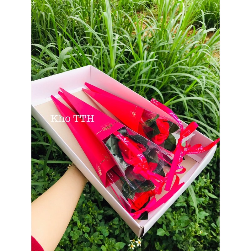 Hoa sáp, hoa nhũ hộp mika