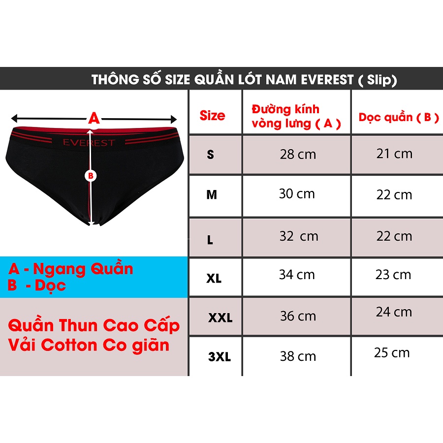 [SALE LỚN CUỐI NẰM] Quần lót nam cao cấp Everest (Giao mẫu ngẫu nhiên đúng size)