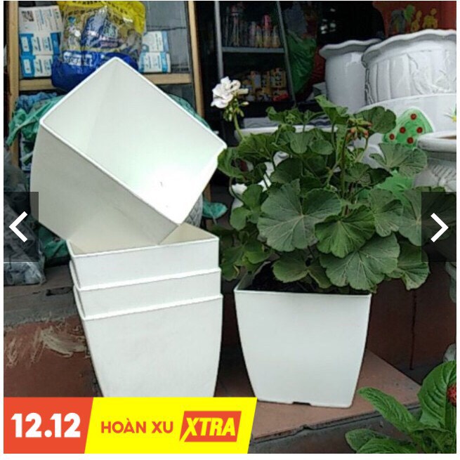 Chậu nhựa vuông V20 (20x20x20cm) loại 1 dày đẹp