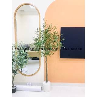 Cây oliu 165cm - cây giả decor