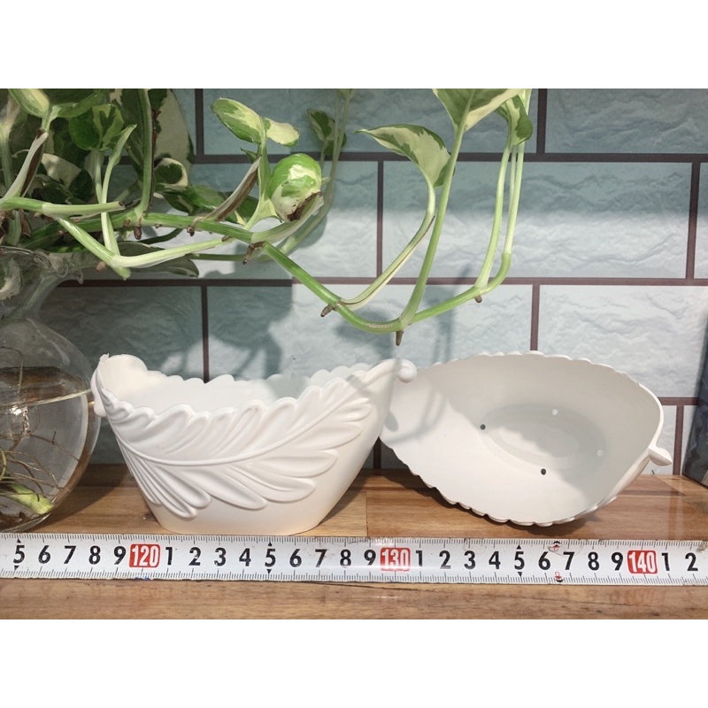 Chậu nhựa dáng thuyền trồng cây