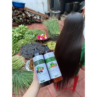 Dầu gội thảo mộc bồ kết Green Lab