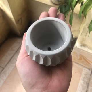 Chậu cây xi măng - cement pots