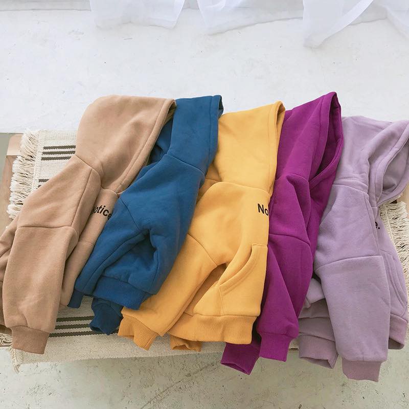 Áo nỉ hodie 5 mầu