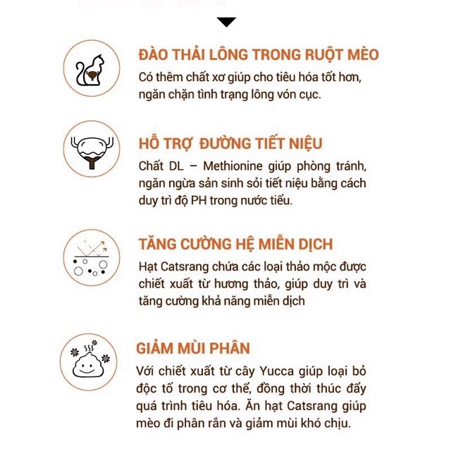 Hạt cho mèo Catsrang hủ 2kg, hộp thức ăn mèo lớn con mọi lứa tuổi catsrang Con Mèo Xiêm