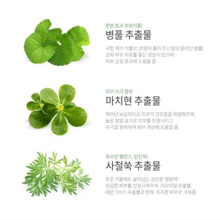Tinh Chất Cho Da Mụn Caryophy Ampoule 10ml