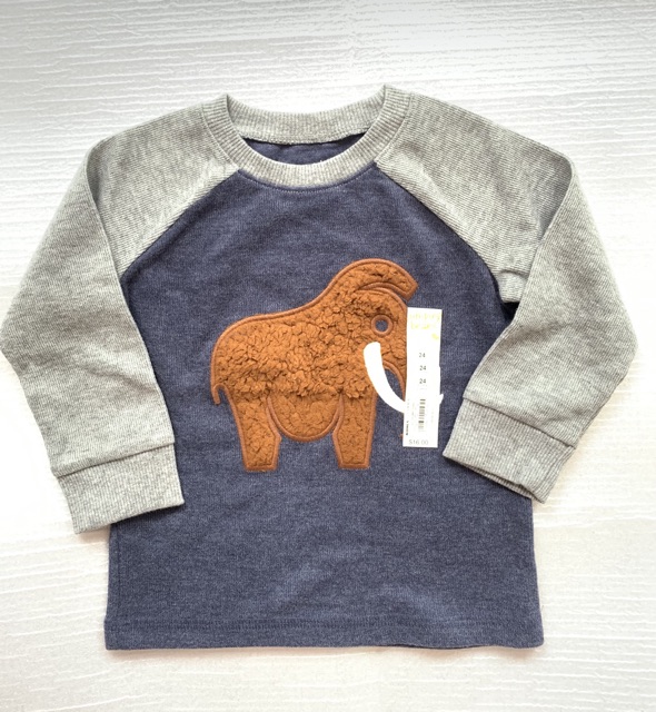 Sale rẻ  Áo xuất xịn của Carter, jumping beans, oldnavy