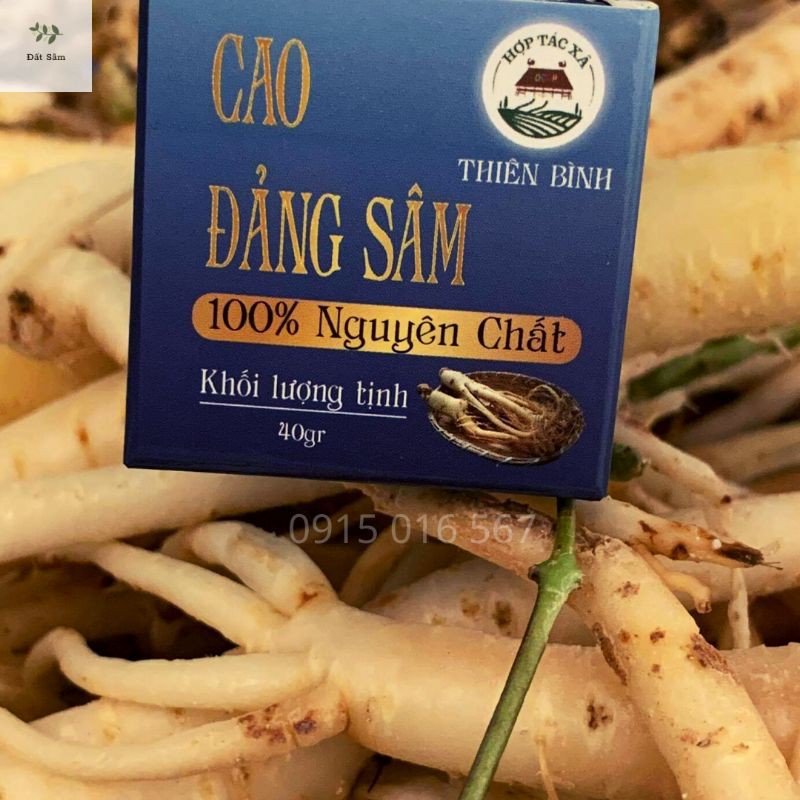 CAO ĐẢNG SÂM TÂY GIANG