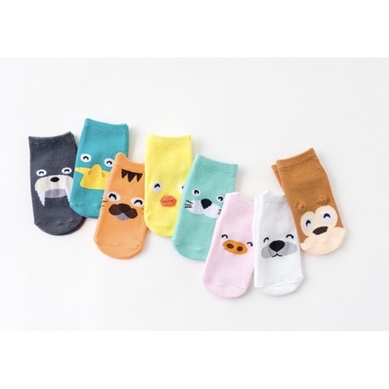 Combo 5 đôi tất Kids snocks cho bé trai/bé gái