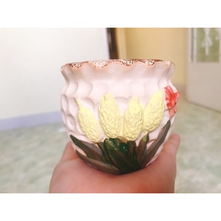 chậu sứ hình trồng sen đá