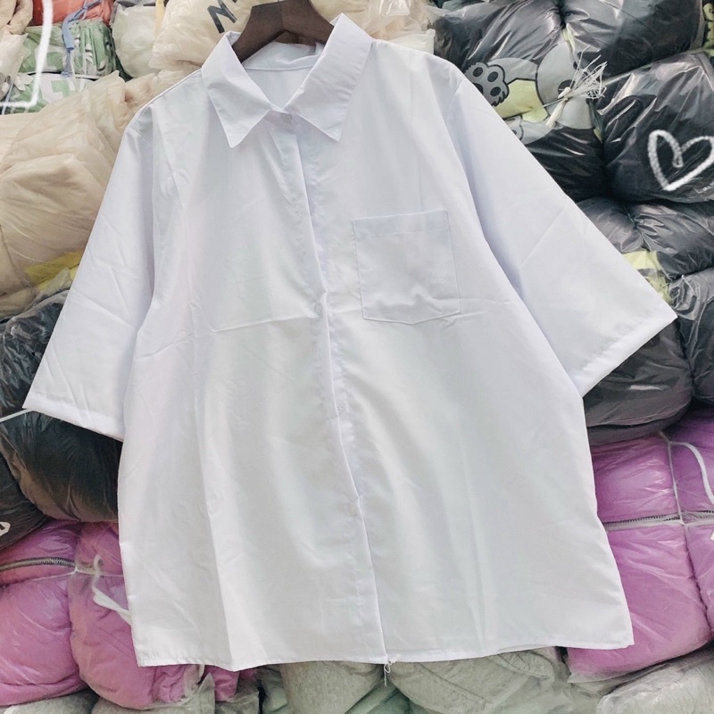 SƠ MI ĐI HỌC 89k