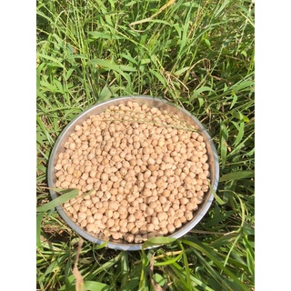 Đậu Gà  500g