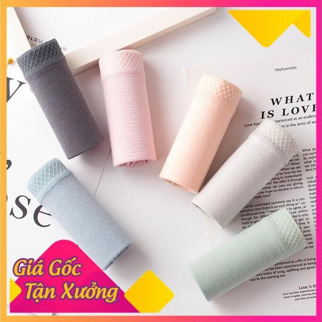 [SIÊU SALE] Quần Lót Cạp Lưới Cao Cấp