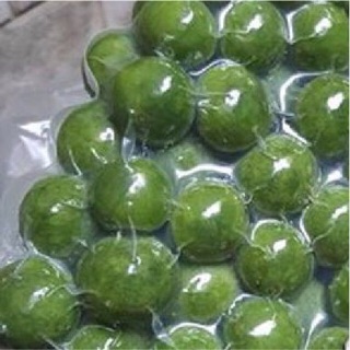 Ô mai Sấu Non (65k-500g)