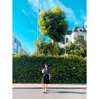 Áo hanbok cách tân