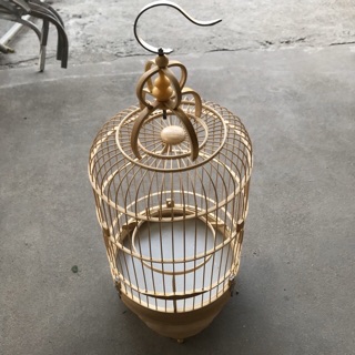 Lồng khuyên trúc