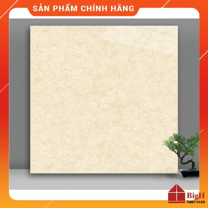 Gạch lát nền Catalan cao cấp 60x60 6111. Men siêu bóng, chống bám bẩn -Vật liệu xây dựng BigH