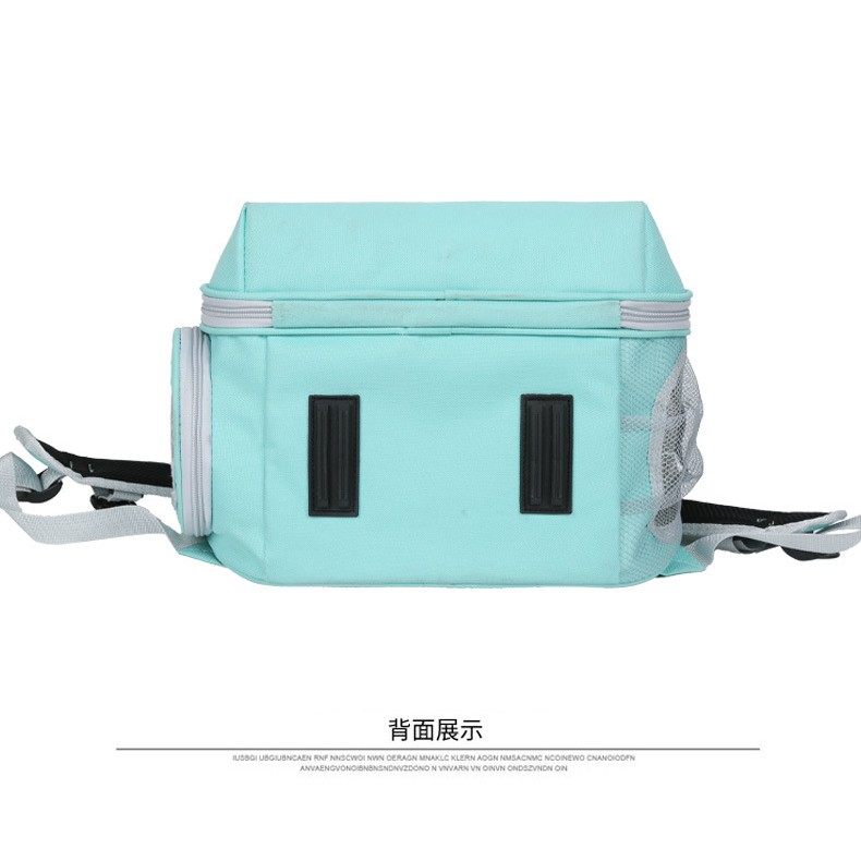 Balo Phi Hành Gia Cho Thú Cưng ♥️ Freeship ♥️ Balo vận chuyển chó mèo trong suốt ♥️Tặng Kèm Thảm Lót♥️ DreamPet