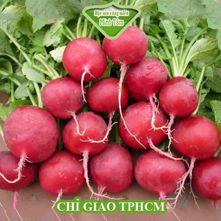Củ dền tươi Đà Lạt loại 1 [CHỈ GIAO TPHCM]