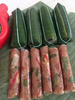 Nem chưa thanh hoá