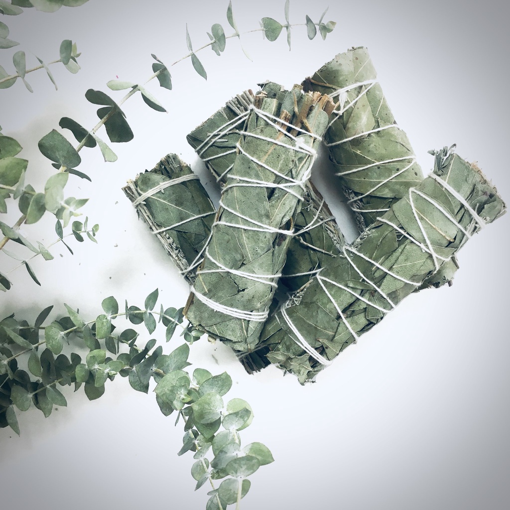 Combo 1-2-3 Bó xô BẢO VỆ (Bạch đàn eucalyptus)