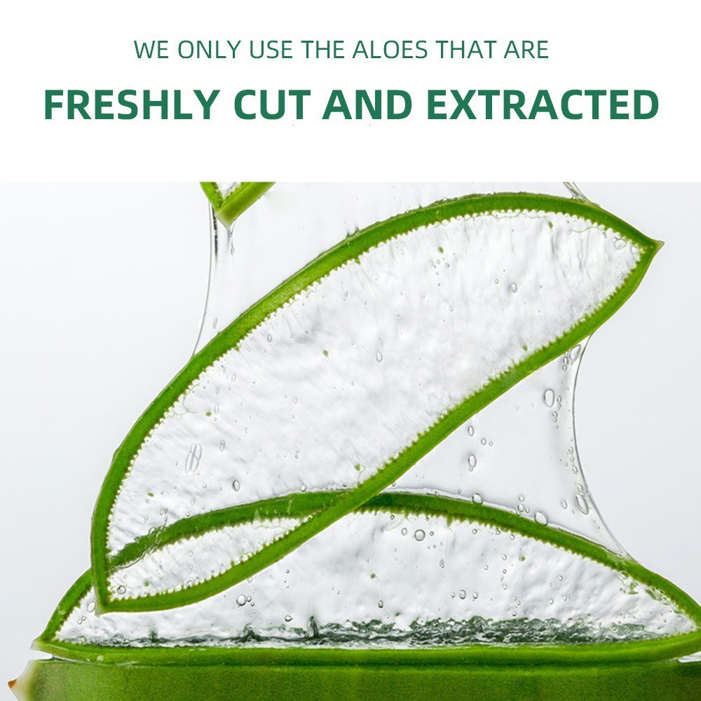 Foreverlily 13g gel lô hội beauty