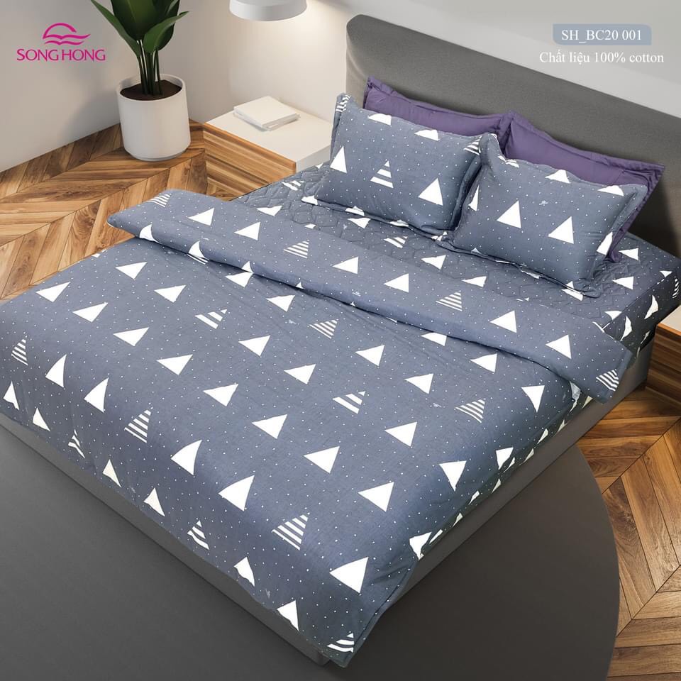 Ga chun 1.6*2m cotton không chần