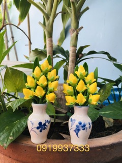 Chậu hoa đất sét cao 13 cm nhiều mẫu( 1 cặp 2 chậu )
