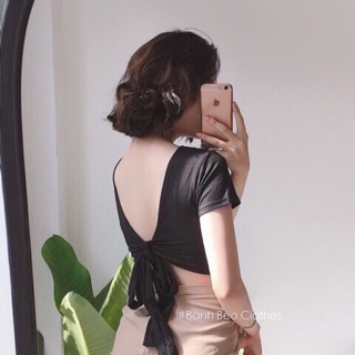 Áo hở lưng cột nơ croptop có mút ngực