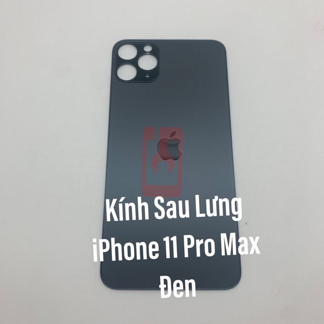 DTCT Mặt Kính Sau Lưng iPhone 11 Pro / 11 Pro Max  DT802