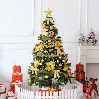 Cây thông xanh noel cao 2m/ 2m4 - Green Christmas Tree