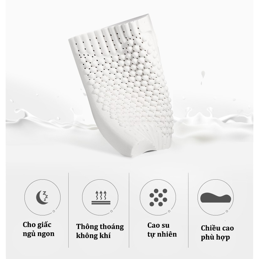 Gối cao su non Ventry cao cấp nhập khẩu Thái Lan