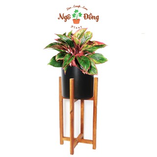 [Hàng Có Sẵn] Đôn Gỗ Kê Chậu Cây Cảnh Chậu Hoa Chân Vuông Trang Trí Trong Nhà Ngoài Vườn