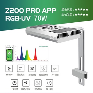 Đèn week z200 pro