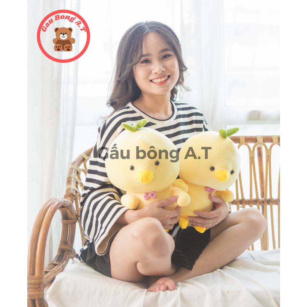 Gấu Bông, Thú Nhồi Bông Hình Gà vàng dễ thương, đáng yêu size 40cm