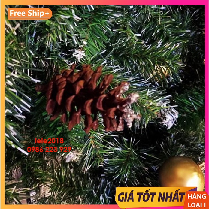 Quả thông trang trí cây thông noel và sự kiện giáng sinh