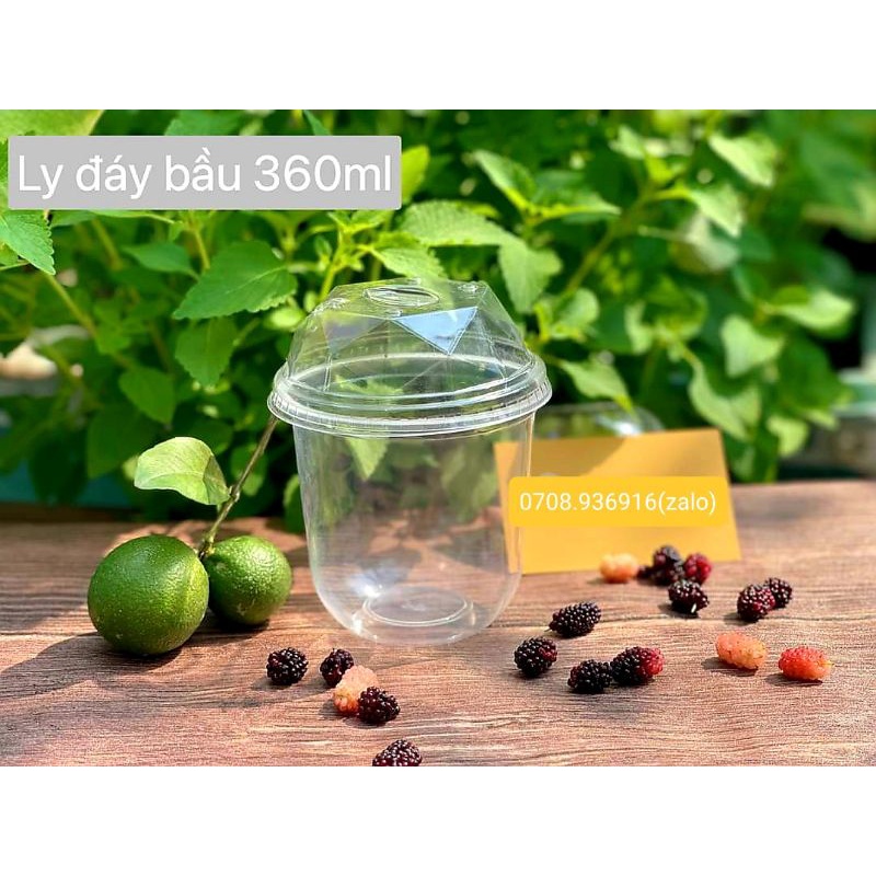 100 ly bầu 360ml_500ml_650ml