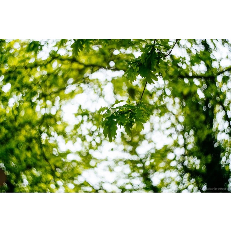 Ống kính MF Helios 44-4 58/2