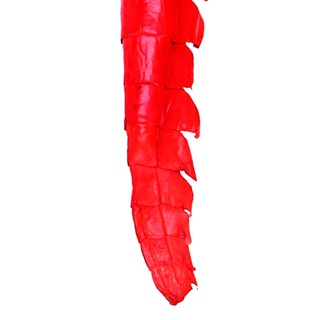 Móc khóa da cá sấu 8244